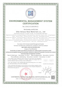 環境管理體系認證證書-英文